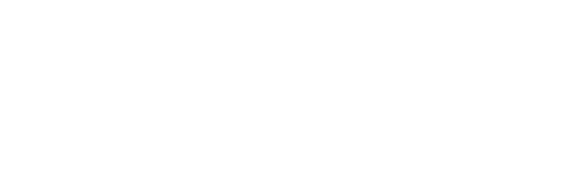 Magnit Logo