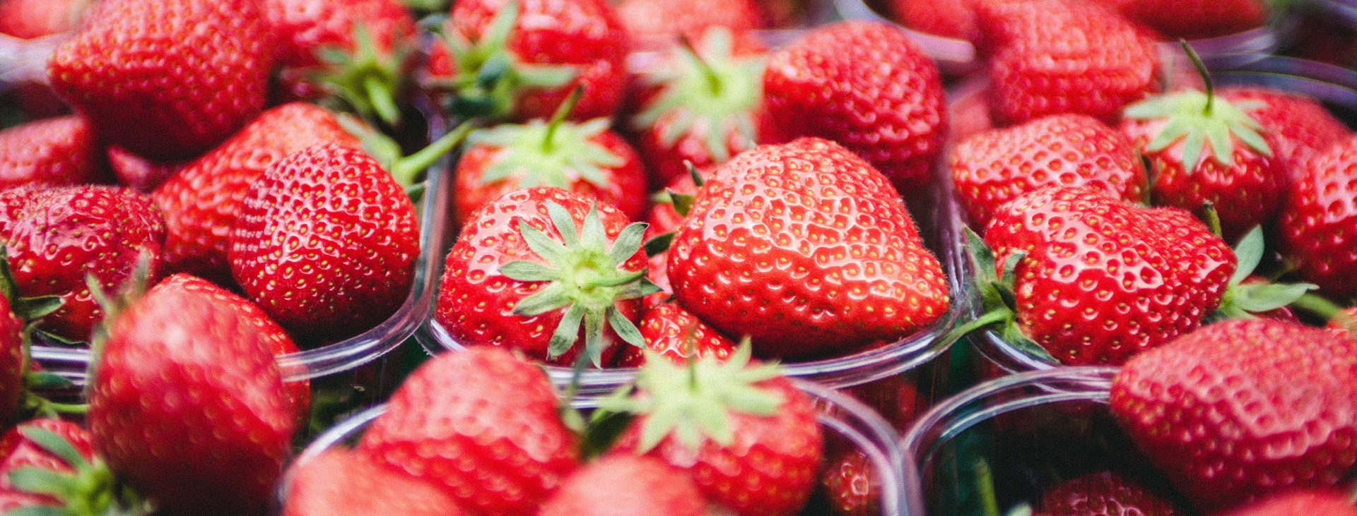 Emerging Food Trends: Transparency Reigns Supreme